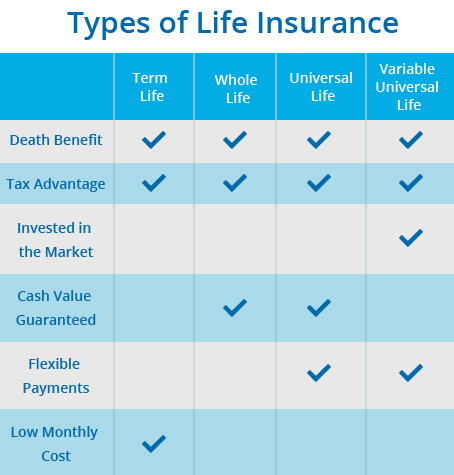 Different Types Of Life Insurance Chart